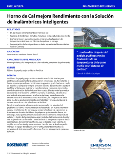 Horno de Cal mejora Rendimiento con la Soluci&oacute;n de