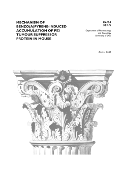 Mechanism of benzo(a)pyrene-induced accumulation of p53 tumour