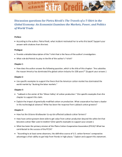 Discussion questions for Pietra Rivoli`s The Travels of a T