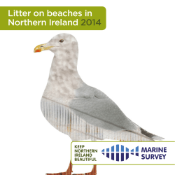 Litter on beaches in Northern Ireland 2014