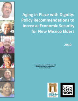 Policy Recommendations to Increase Economic Security for New