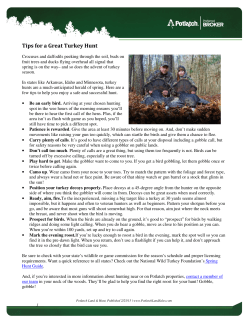 Tips for a Great Turkey Hunt