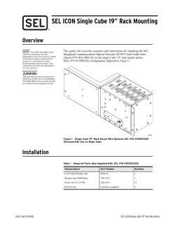 SEL ICON Single Cube 19" Rack Mounting