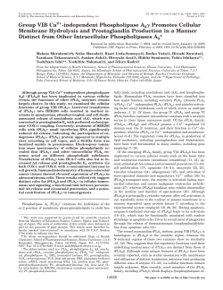 Group VIB Ca2 -independent Phospholipase A2 Promotes Cellular