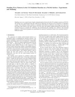 Standing Wave Patterns in the CO Oxidation Reaction on a Pt(110