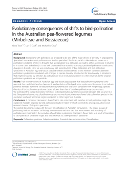 Evolutionary consequences of shifts to bird