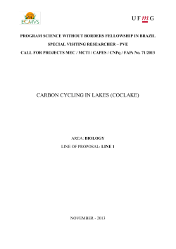 carbon cycling in lakes (coclake)