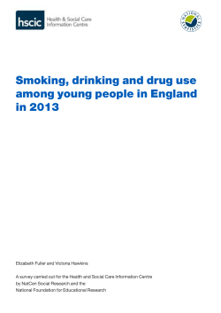 2013: Stand-alone report summary [