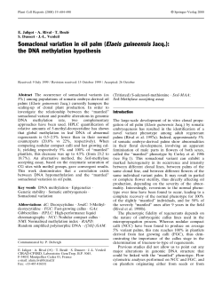 Somaclonal variation in oil palm (Elaeis guineensis Jacq.): the DNA