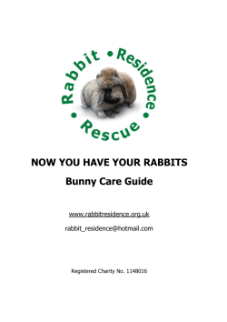 NOW YOU HAVE YOUR RABBITS Bunny Care Guide
