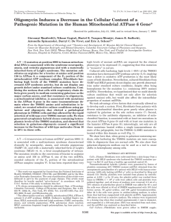 Oligomycin Induces a Decrease in the Cellular Content of a