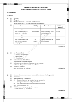 LC Biology Sample Paper 1 HL Solutions