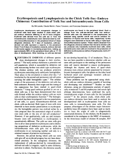 Erythropoiesis and Lymphopoiesis in the Chick Yolk-Sac