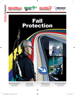 Fall Protection - Mazzella Companies