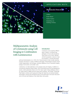 Multiparametric Analysis of Cytotoxicity using Cell