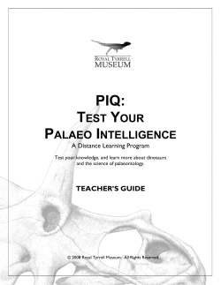 Test Your Palaeo Intelligence