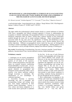 archaeological and geographical evidence of guanaco hunting