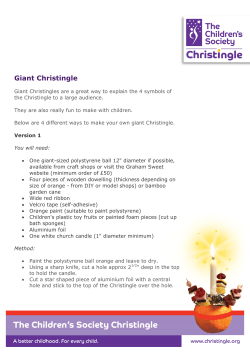 Main heading in 16pt Verdana Bold / Purple