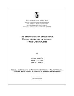 The Emergence of Successful Export Activities in Mexico: Three