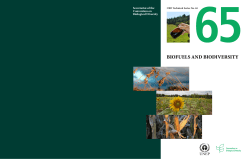 biofuels and biodiversity