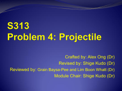 S313_P04_Facilitator Presentation