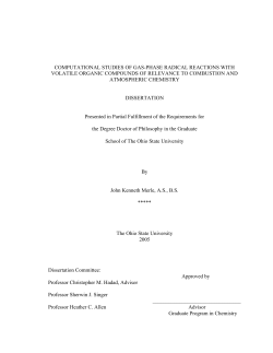 COMPUTATIONAL STUDIES OF GAS