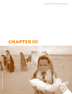 chapter iii - the United Nations