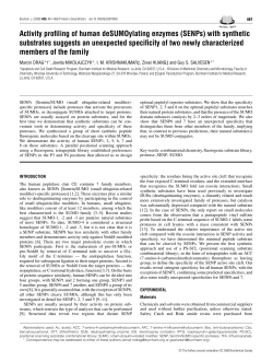 Activity profiling of human deSUMOylating enzymes (SENPs) with