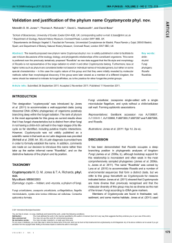AR TICLE Validation and justification of the phylum