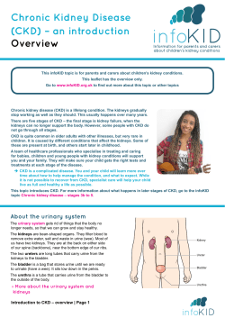 Chronic Kidney Disease (CKD) &ndash; an introduction Overview