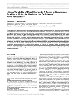 Hidden Variability of Floral Homeotic B Genes in