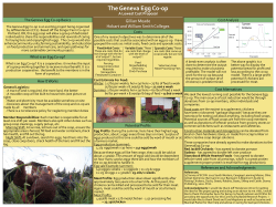 "Geneva Egg Co-op" Community-Based Research