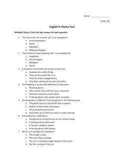 English 9: Poetry Test