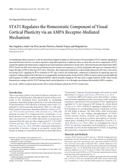 STAT1 Regulates the Homeostatic Component of Visual