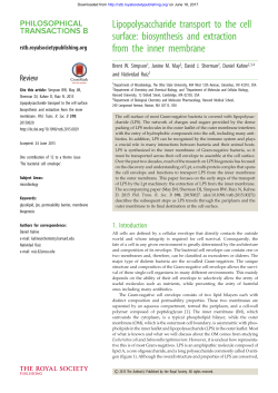 Lipopolysaccharide transport to the cell surface