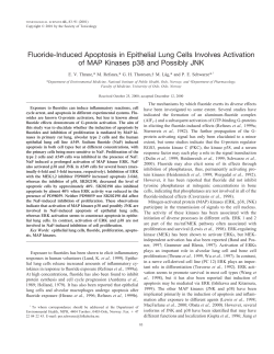 Fluoride-Induced Apoptosis in Epithelial Lung Cells Involves