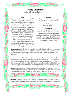 Story Grammar Lottery Rose by Irene Hunt