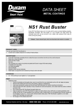 NS1 Rust Buster