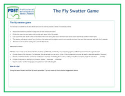The Fly Swatter Game