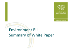 Environment Bill Summary of White Paper