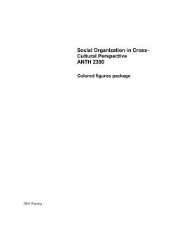 Social Organization in Cross- Cultural Perspective ANTH 2390