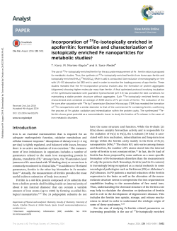 Incorporation of 57Fe-isotopically enriched in apoferritin: formation