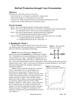 BioFuel Production through Yeast Fermentation