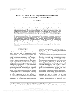Novel Cell Culture Model Using Pure Hydrostatic