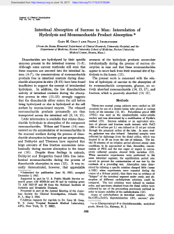 Intestinal Absorption of Sucrose in Man: Interrelation of