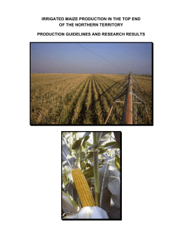 Irrigated Maize Production in the NT