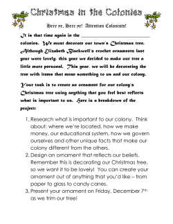 Christmas in the Colonies