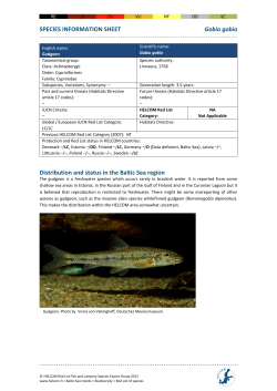 HELCOM Red List Gobio gobio