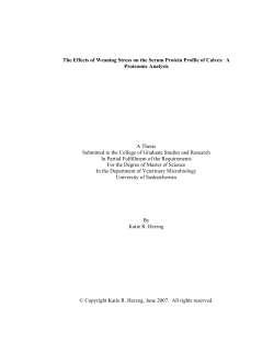 The Effects of Weaning Stress on the Serum Protein Profile of Calves