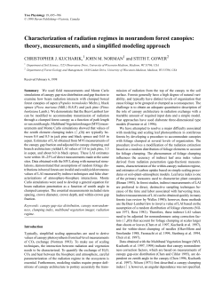 Characterization of radiation regimes in nonrandom forest canopies